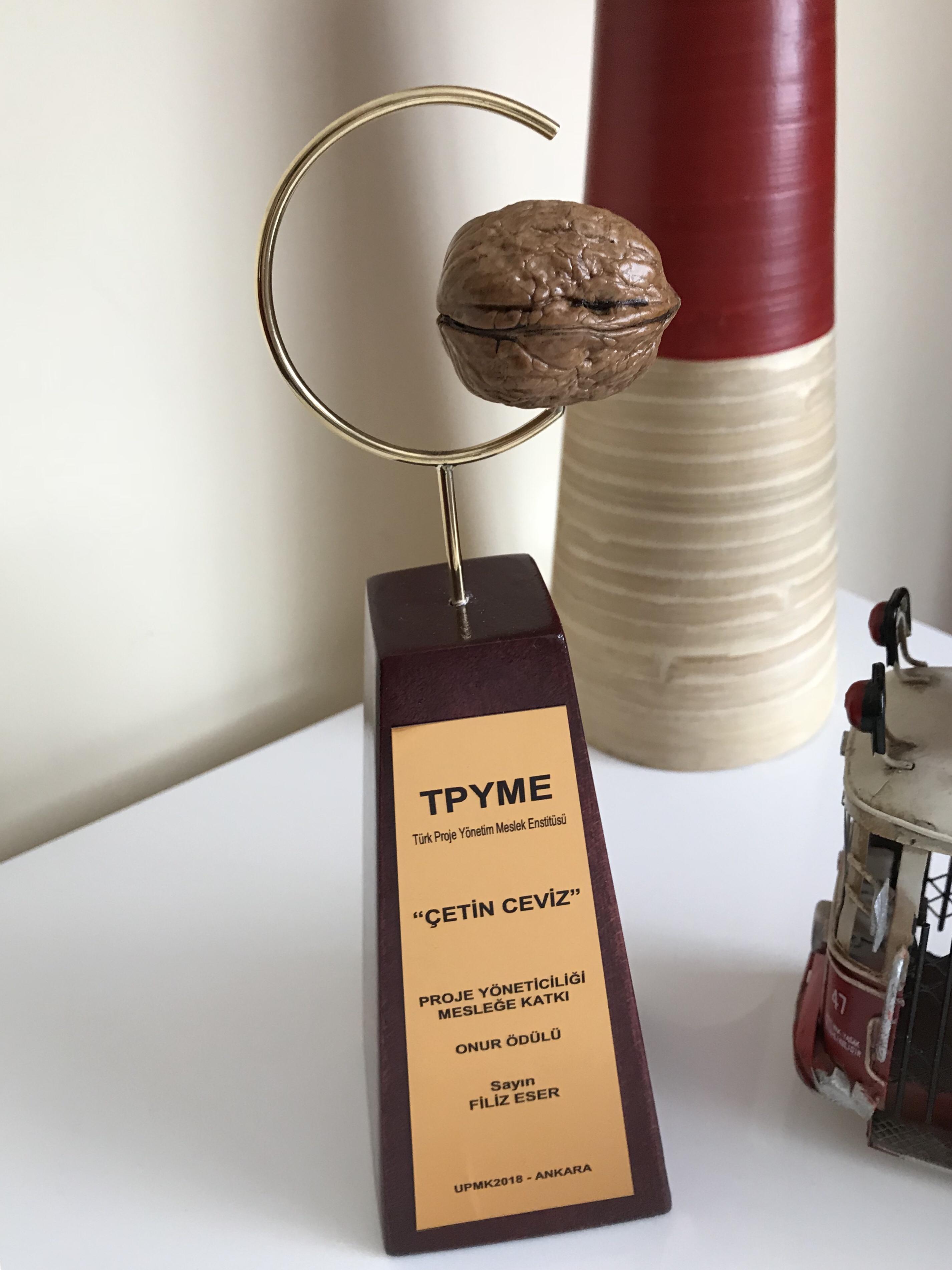 UPMK2018 Çetin Ceviz Proje Yöneticiliği mesleğe katkı onur ödülüne layık görüldük.