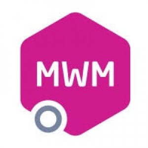 Million Women Mentor